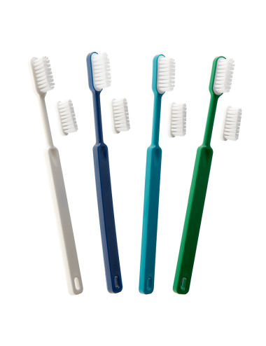 Brosse à dents respectueuse de l'environnement pour adultes. 4 coloris au choix
