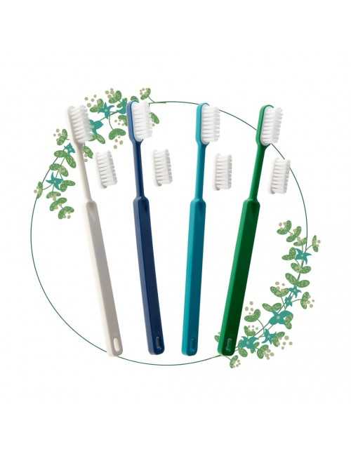 Brosse à dents respectueuse de l'environnement pour adultes. 4 coloris au choix
